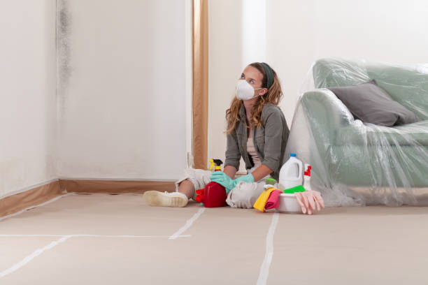 Reliable Mold Remediation contractor in Burnsville, MN by WQB Mold Removal